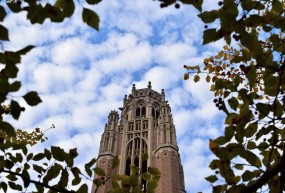 Photo of Saieh Hall tower through leaves