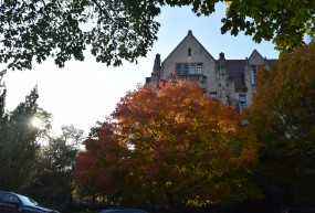 Photo of trees and campus