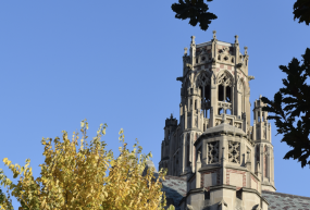 Photo of Saieh Hall tower through leaves